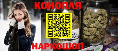 мдпв Гатчина