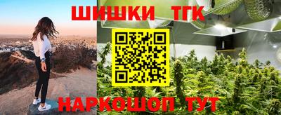 мдпв Гатчина