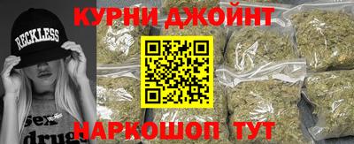 мдпв Гатчина