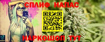 гидра Гагарин